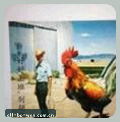 张磊